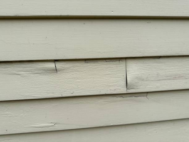 Best Property Management Cleanouts  in Lucedale, MS