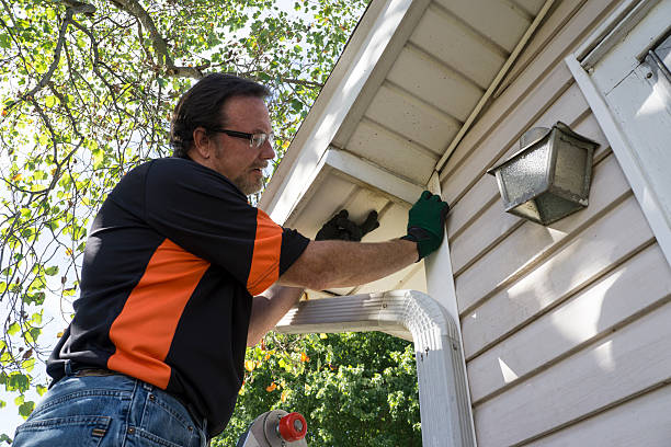 Best Hoarding Cleanup  in Lucedale, MS